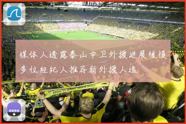 媒体人透露泰山中卫外援进展缓慢多位经纪人推荐新外援人选